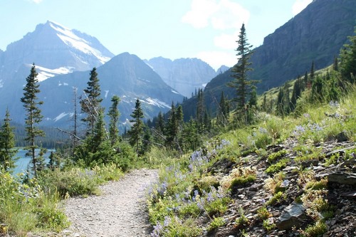 hiking trail in BC