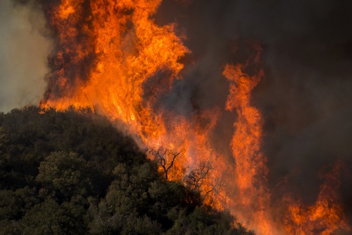 Hill Fire Forces Evacuations In California's Ventura County