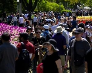 people in Vancouver
