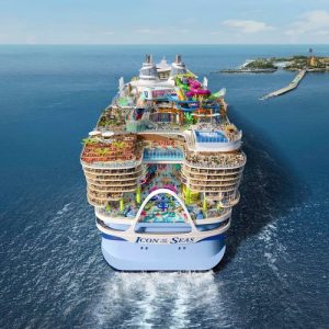 Cruise in the ocean