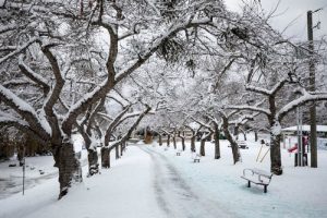 پیش‌بینی اولیه آب و هوای زمستان BC منتشر&hellip;