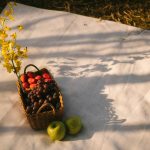 ده مکان عالی برای پیک نیک در ونکوور (بخش اول)