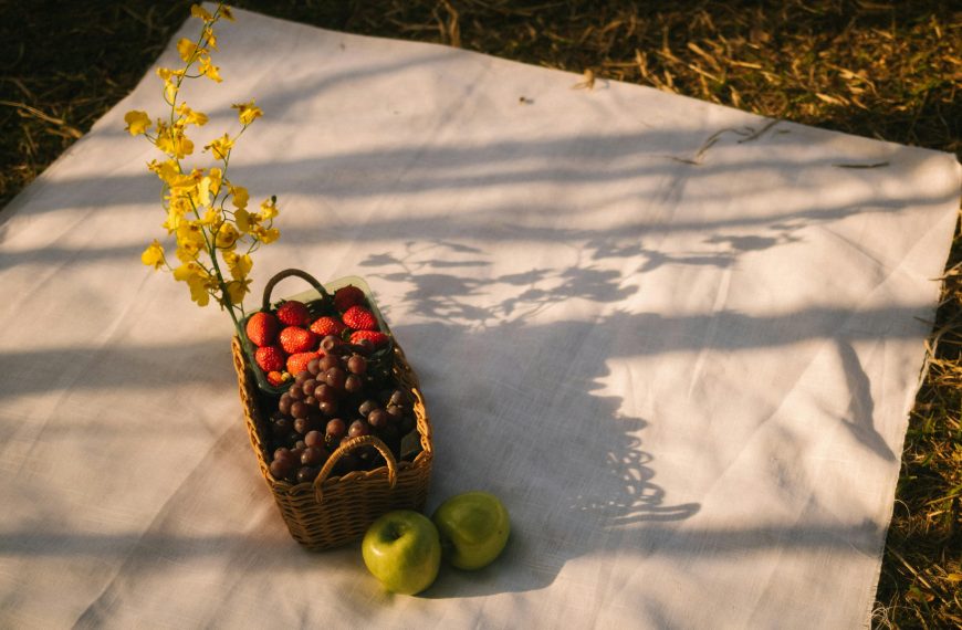 ده مکان عالی برای پیک نیک در ونکوور (بخش اول)